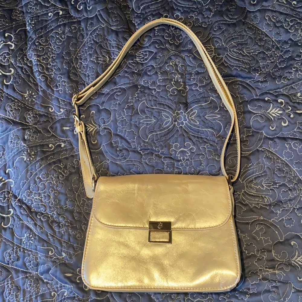 Glazed Oyster over the shoulder Bag